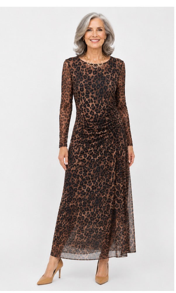 Wild Elegance Mesh Dress