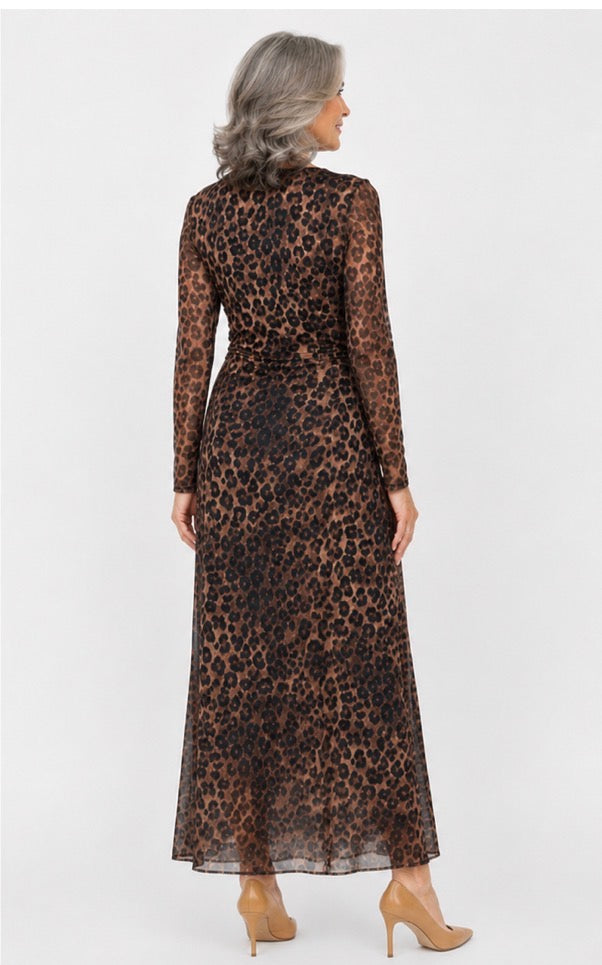 Wild Elegance Mesh Dress